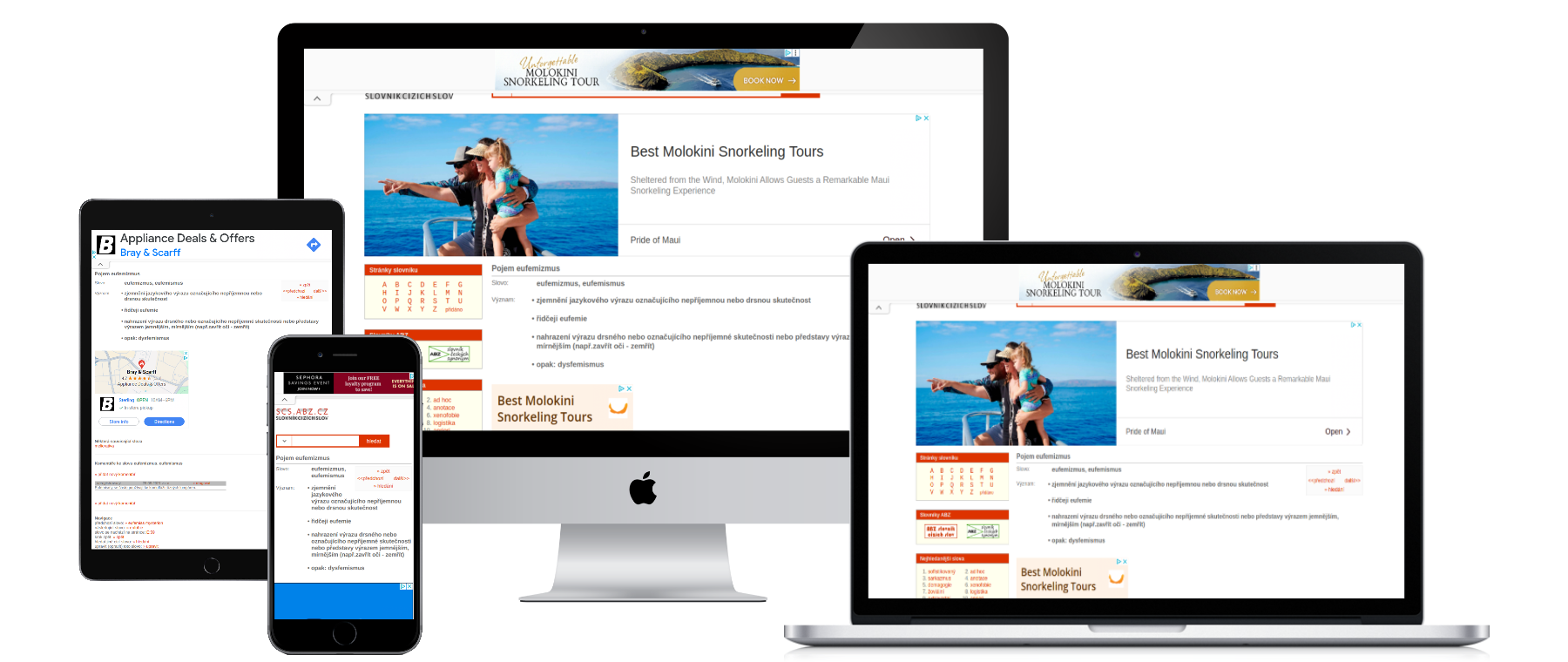 Slovník-cizích-slov.abz.cz